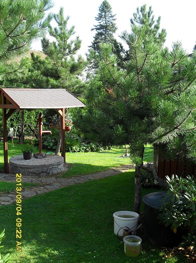 SDC11622.JPG
