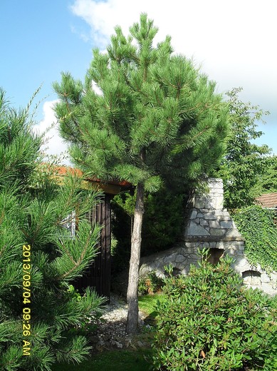 SDC11630.JPG