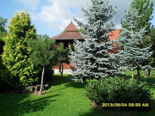 SDC11654.JPG