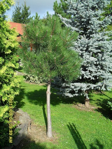 SDC11657.JPG