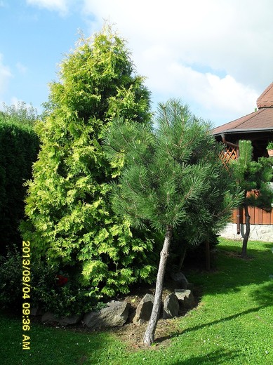 SDC11672.JPG